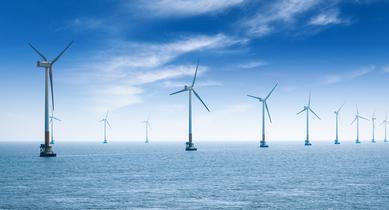 Impact of offshore wind on the marine environment by Liam P. Ó Cléirigh